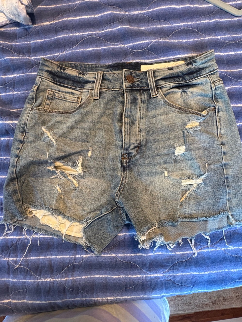 Treasure & Bond Light Blue Distressed Denim Cutoff Shorts